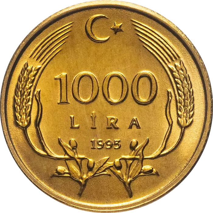 1000 Lira (Küçük Tarih)